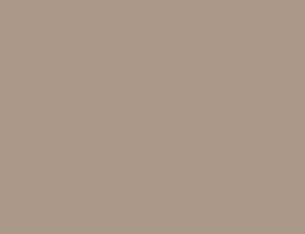 Panneau compact Fenix NTM - 0748 Beige Arizona