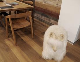 Parquet contrecollé chêne "historica limestone fumé" choix rustique - huilé