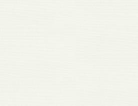 Chant assorti Eurodekor - F422 Lin blanc
