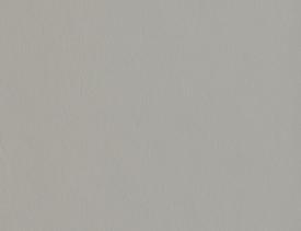 Chant assorti Eurodekor - F765 Gris argent brossé